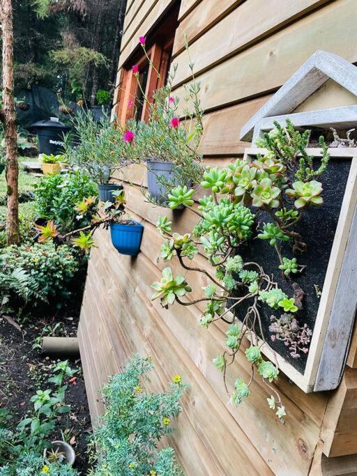 Beehouse Arvi Cabana Гуарне Екстериор снимка
