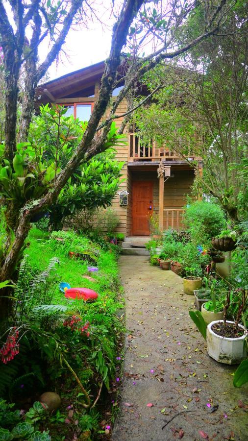 Beehouse Arvi Cabana Гуарне Екстериор снимка